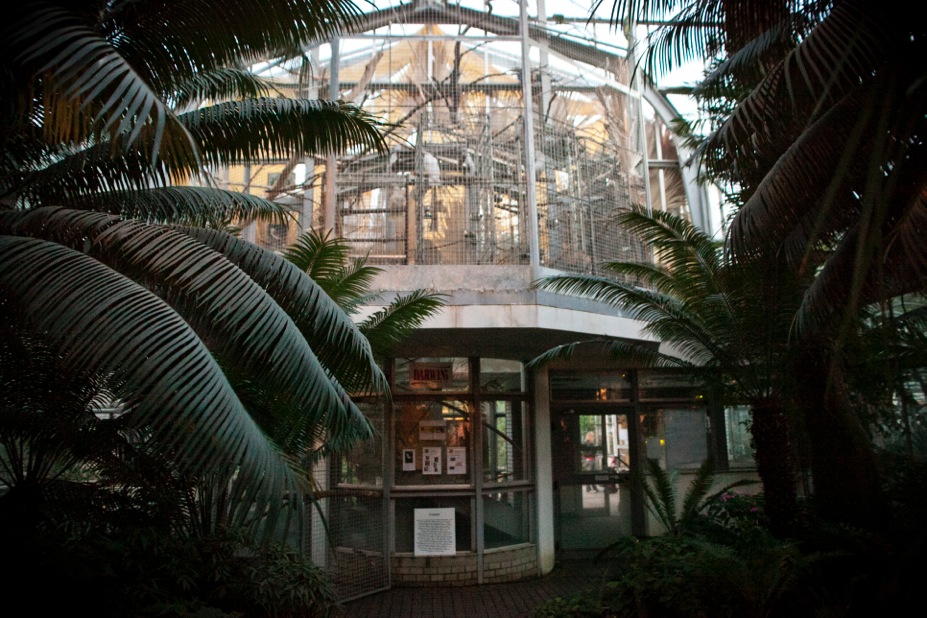Botanická zahrada